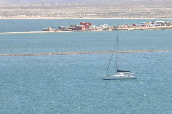 210314 BAHIA WILLARD " Fernandez territory"