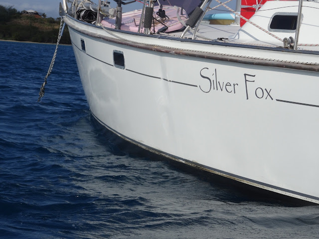 1709 CRASH IN MUSKET COVE