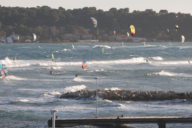 1701 TRANSIT IN CANNES : THE WILD SIDE
