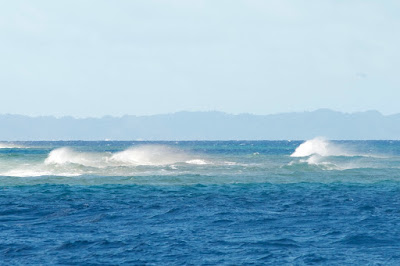 1807 VANUA BALEVU " WILD  SPOT ON THE REEF"