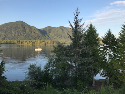 1908 CLAYOQUOT SOUND: "Tourists n wild Bear"