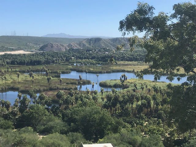 2001 ONE DAY BREAK ONSHORE: a trip to the sierra de la laguna