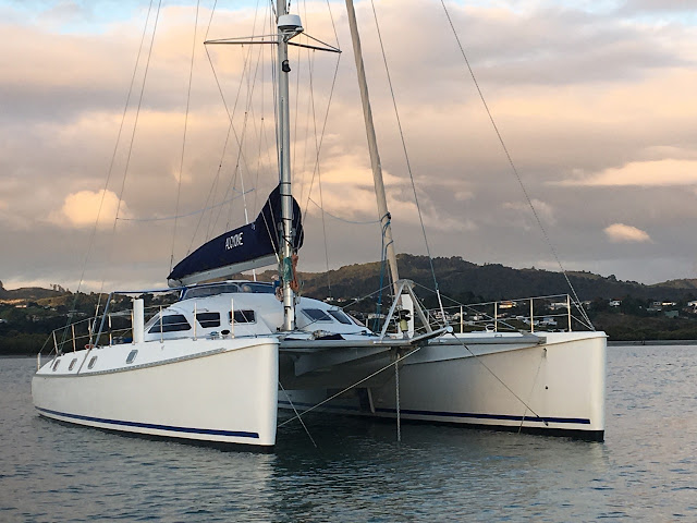 1804 NZ GREAT BARRIER ISLAND: KIWI STYLE