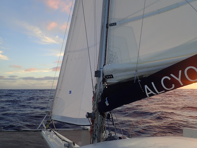 1905 NZ-> AUSTRAL 5 (15-18 may) RAIVAVAE LANDFALL 403m