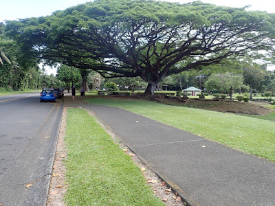1906 HILO (HAWAI) to VICTORIA (CAN) 1: "FAST START"