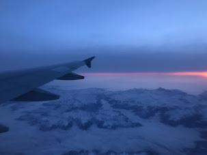 210219 BACK TO MEXICO...BACK TO WORK: "Back to life !"